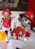 Jaxton as Marshall Paw Patrol Halloween 2024